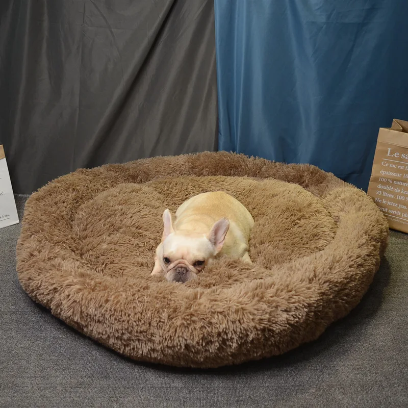 12039155069_588141506