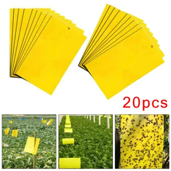

Dual-Sided Sticky Fly Paper Yellow Traps Fruit Flies Insect Glue Catcher Sticky Fly Paper Repellents Pet Controller