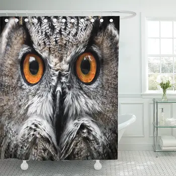 

Orange Barn Owls Portrait Eyes Yellow Close Flying Animal Shower Curtain Waterproof Polyester Fabric 60 x 72 Inches with Hooks