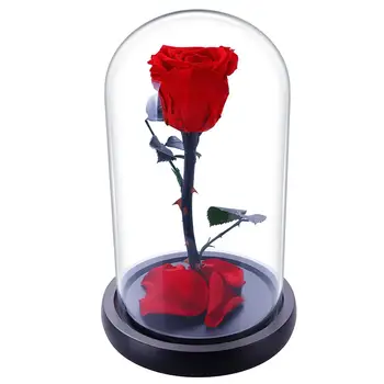 

Rose Flower Festive Preserved Forever Rose Immortal Fresh Rose Glass Cover Unique Valentine's Day Gifts For Lover