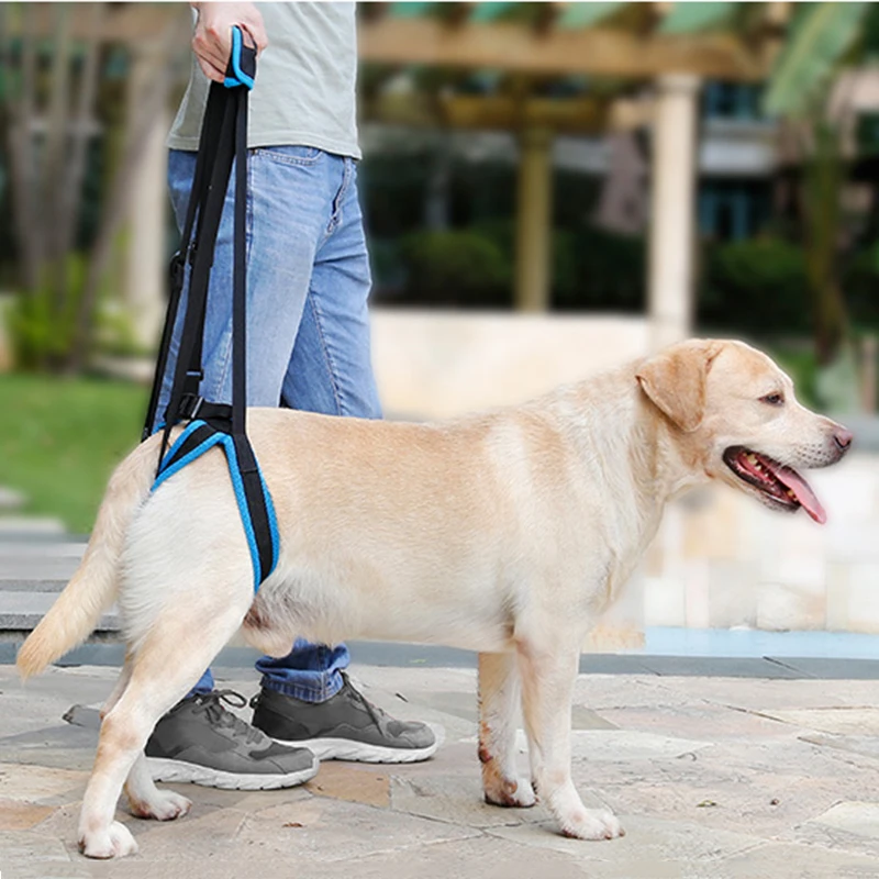 Adjustable Dog Lift Collar Aid Assist Tool For Back Legs Pet Support Sling Help Weak Legs Stand