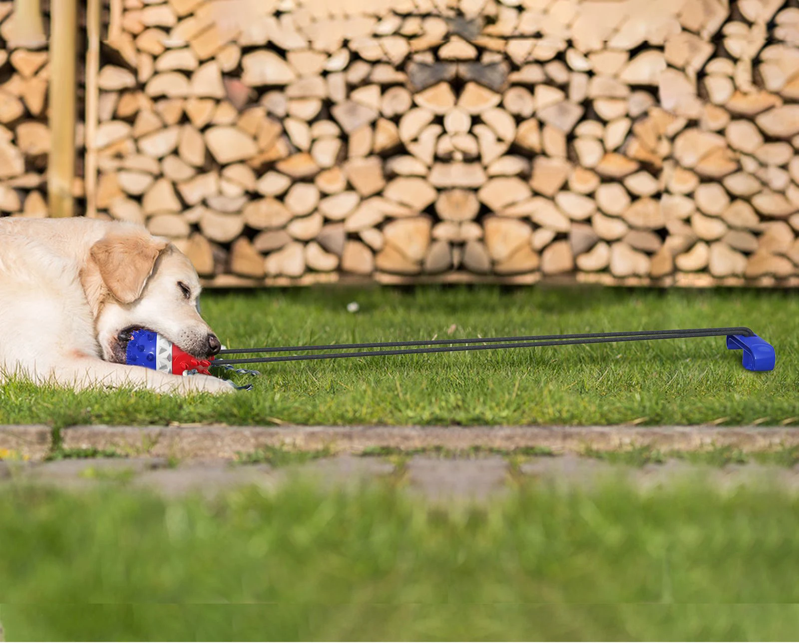 rope ball dog toy