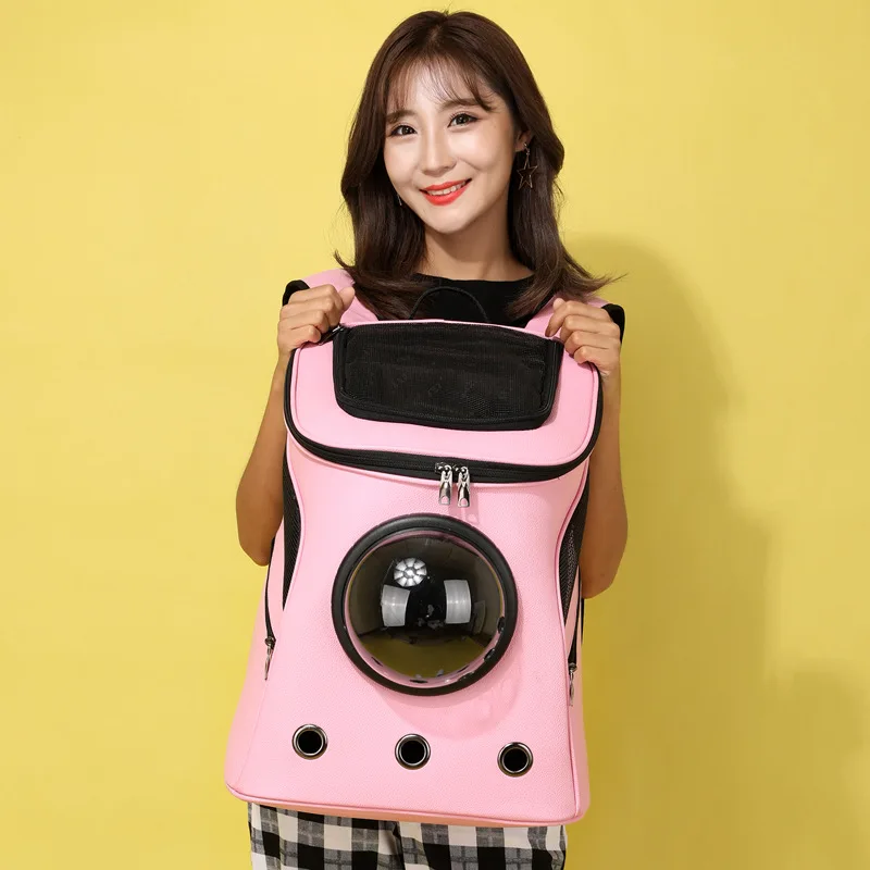 10691638389_345777210