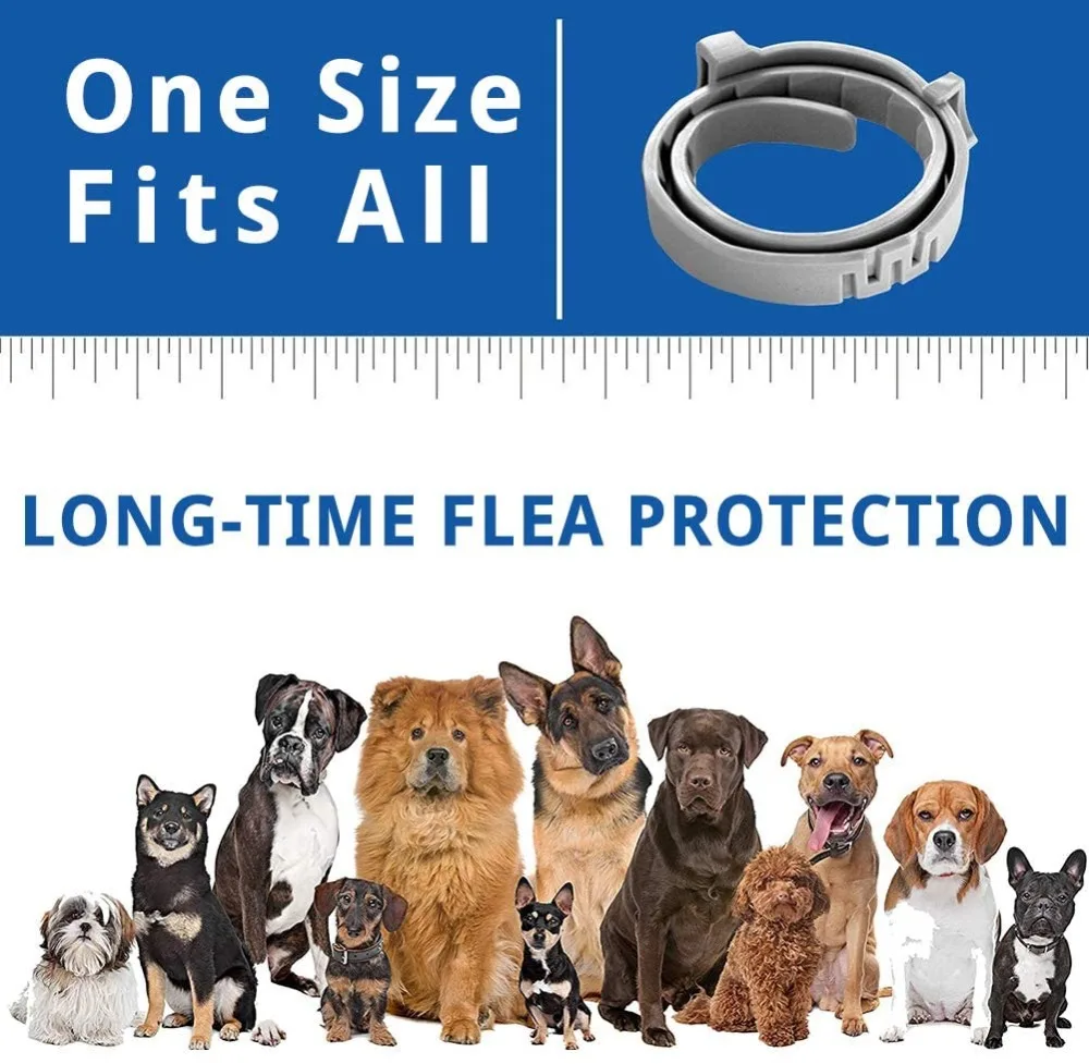 71Gk48nuNwL._AC_SL1001_