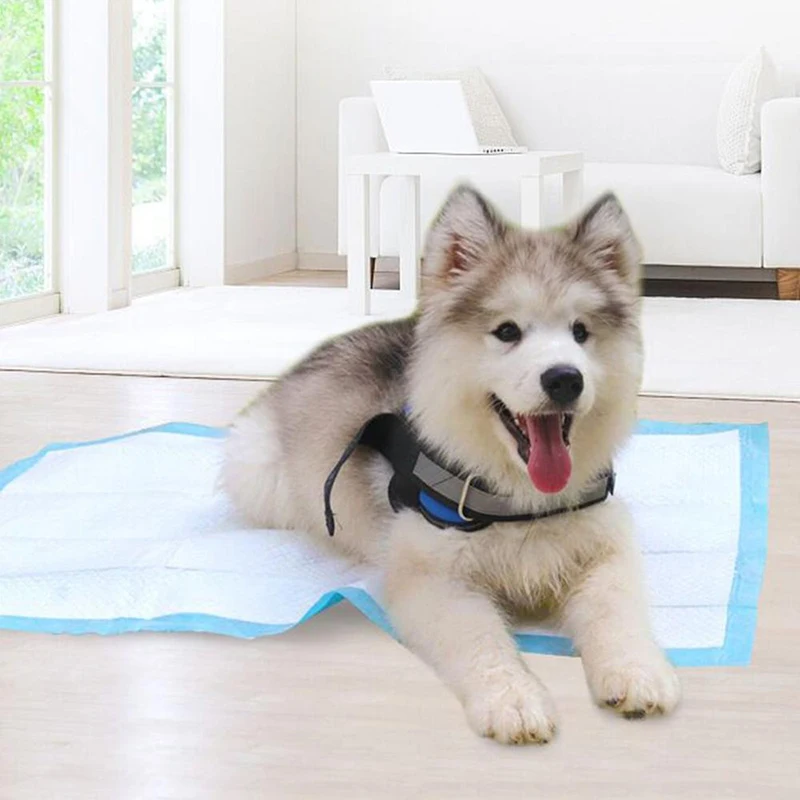 2-Pet-Dog-Changing-Mat-Multi-size-Super-Absorbent-Diaper-Pet-Cat-Training-Pee-Pad-Mat-Puppy