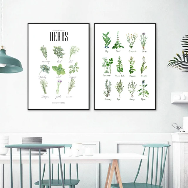 Culinary Herbs Prints Vegetable Botanical Poster Kitchen Decor , Spices Herbs Guide Wall Art Pictures Canvas Painting Decoration