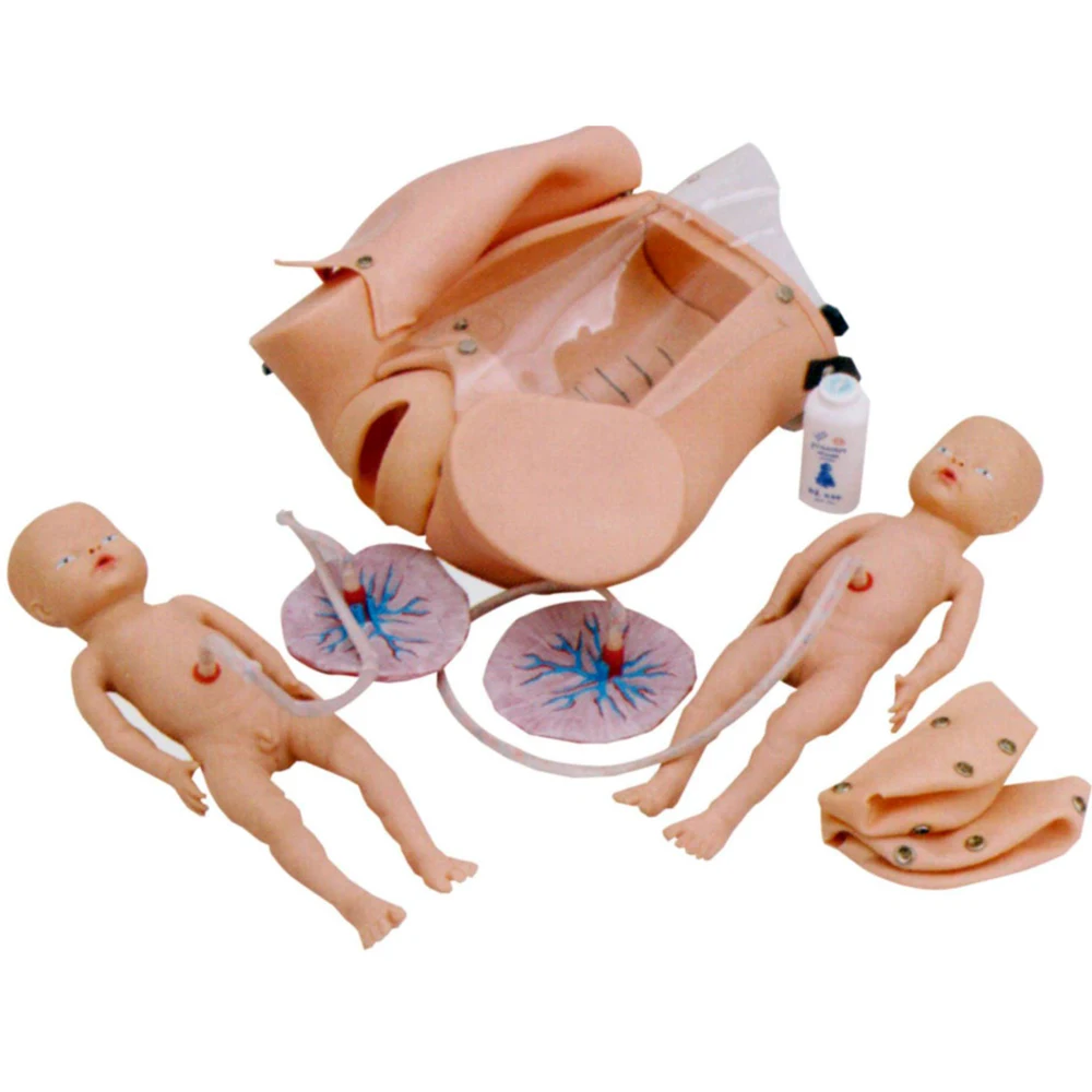 F52 birth manikin