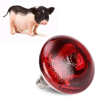 

Brand New Preservation Heat Light Bulb Infrared Ray Hatch Light Bulb Fit For Animal Husbandry Farm Pig Chicken Or Livestock