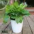 6 Size Lazy Flower Pot Outer And Inner Pot Imitation Porcelain Series Garden Plastic Self Watering Flowerpot With Cotton Rope best plants for hanging baskets Flower Pots & Planters