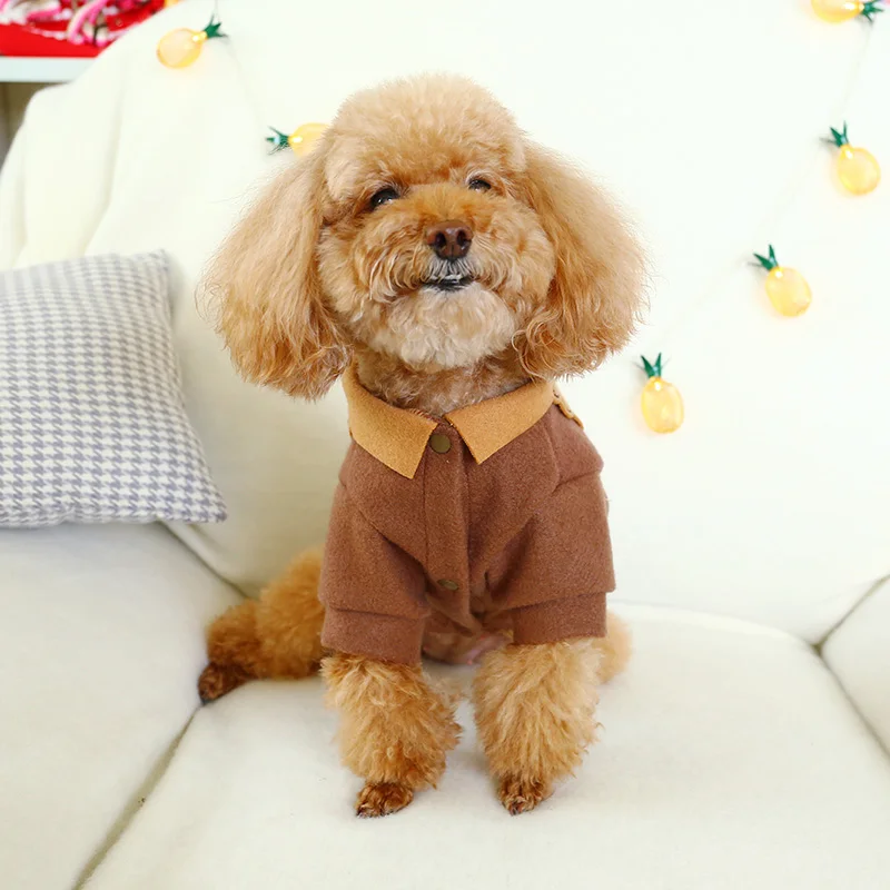 PETCIECLE одежда для домашних животных плюшевый Померанский Бишон собака осень-зима Удобная Мода печенья Повседневная двуногая одежда