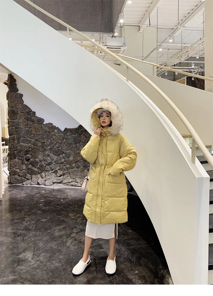Photo Shoot New Style Best Friend Korean-style Hooded Large Fur Collar INS down Jacket Medium-length Cotton Coat WOMEN'S Co
