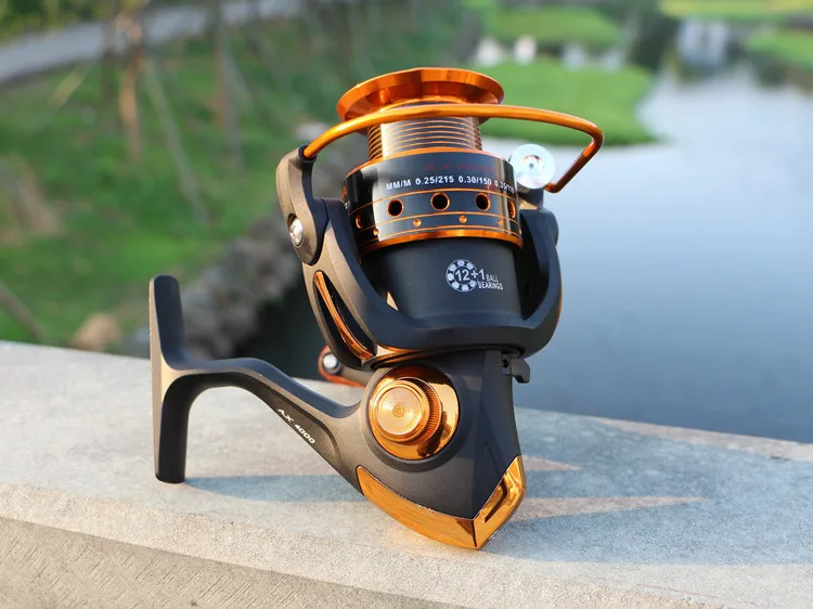 3035834014_1498406544