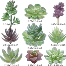 Miniplantas artificiales suculentas sin maceta, Color Natural texturizado realista, para decoración del hogar, jardín y balcón, 18 Uds.