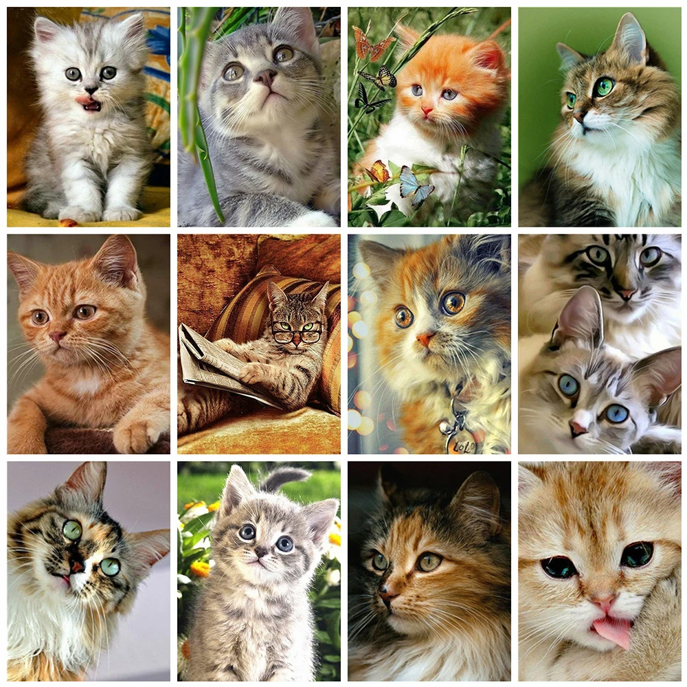 EverShine Diamond Painting Cat Embroidery Full Square Picture Of Rhinestones Cross Stitch Mosaic Animals Home Decor Art | Дом и сад