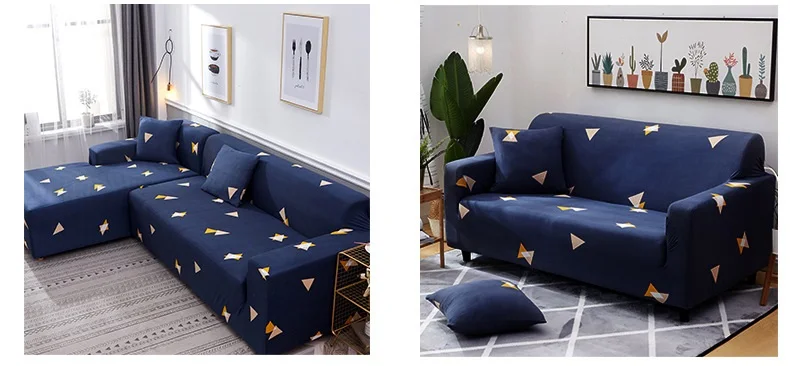 11697444310_1690726818