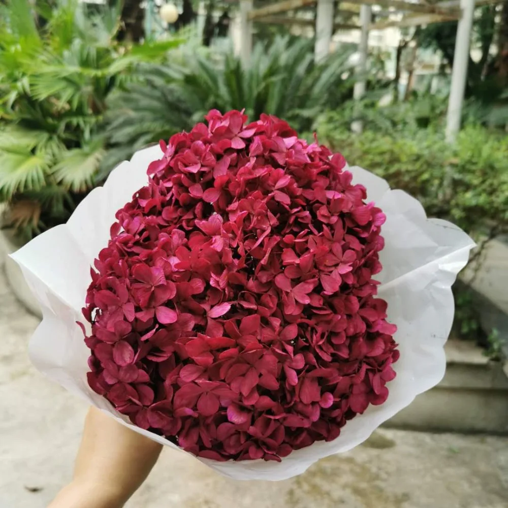 daf6fd6ab5c455453a7dac5a71df28c