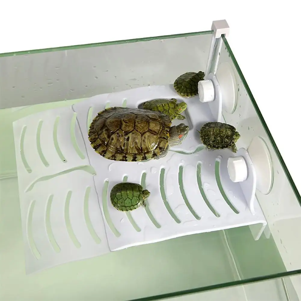 

Large Size Amphibian Reptile Box Turtle Drying Platform Climbing Floating Platform Landscaping Reptile House Ornaments 20E