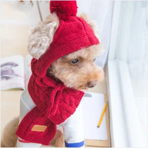 Winter Accessory Set For Dog - Knitted Hat, Scarf, And 4 Socks