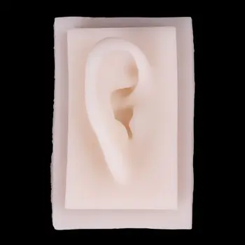 

Medical props model Human Soft Silicone Right Ear Model Life Size Acupuncture Study Practice Tool