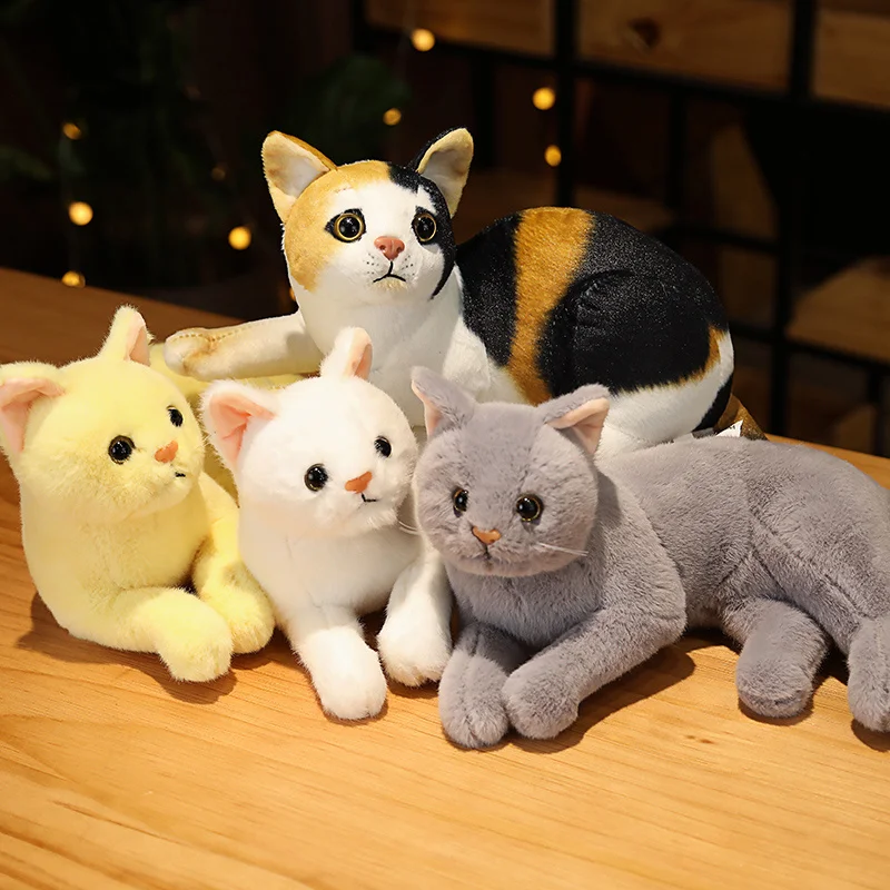 british shorthair plush toy