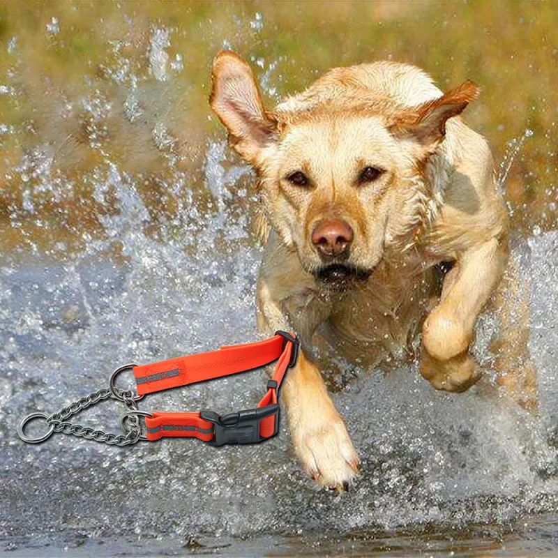 Outdoor Waterproof P chain dog Collar PVC Material pet collars