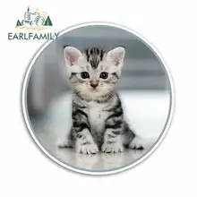 EARLFAMILY 13cm x 13cm Cute Grey Kitten Funny Car Stickers RV VAN 3D DIY Fine Decal Vinyl JDM Bumper Trunk Truck Graphics