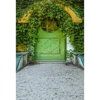 

Model portrait photography backgrounds polyester green door retro photo backdrop for photographer studio props photophone S-3097