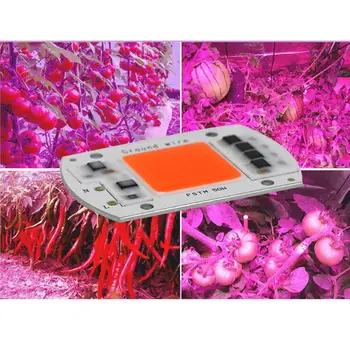 

Led Plant Growth Lamp Full Spectrum 50W100W Hydroponic Vegetable Greenhouse Plant Lamp For Garden Greenhouse