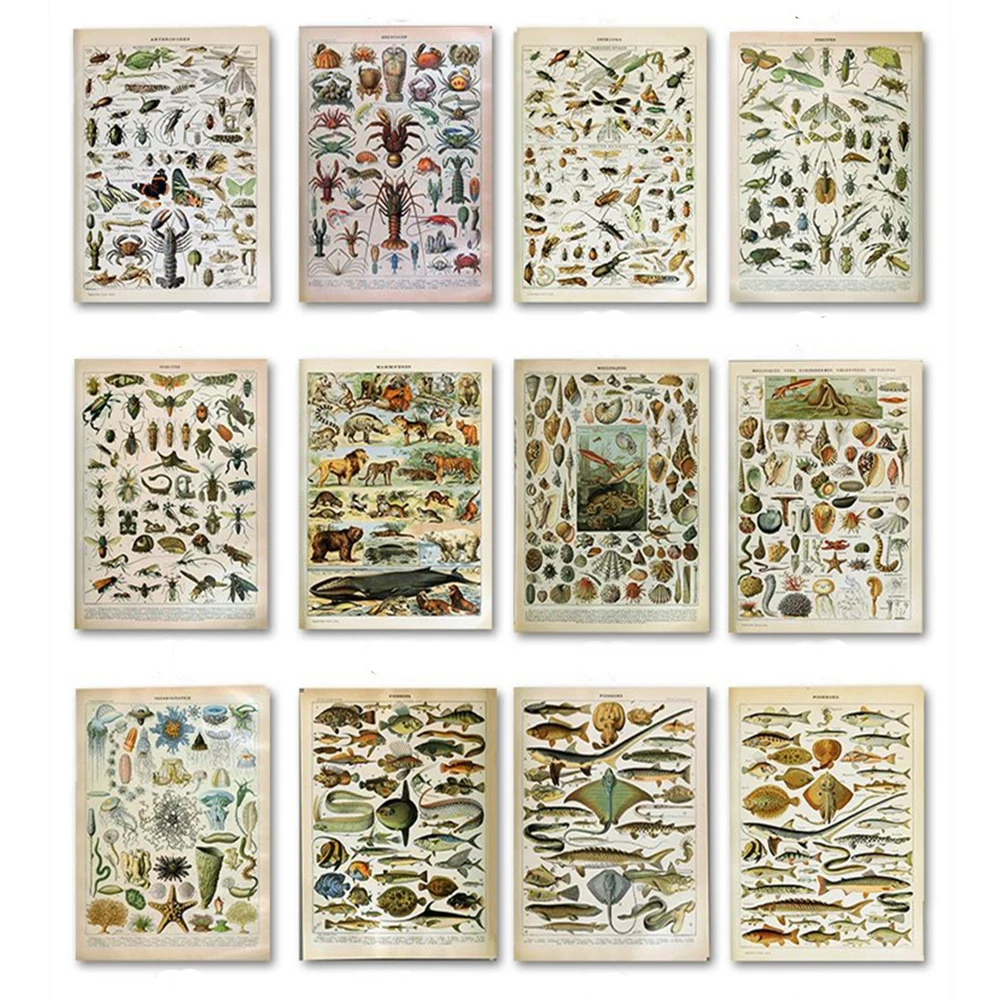 Винтаж Стиль Холст плакат насекомые образца Животные картина с изображением