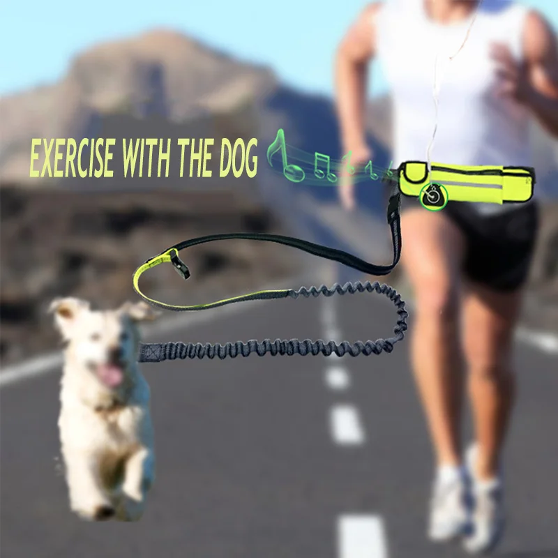 

Walking Training Waist Pack Retractable Dog Leash Breathable Polyester Retractable Running Breakaway Dog Leash Rope Pet Leashes