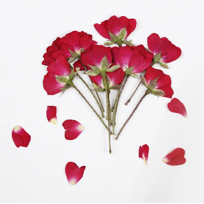 12 шт./лот маленькие настоящие сушеные китайские розы спрессованные по бокам для