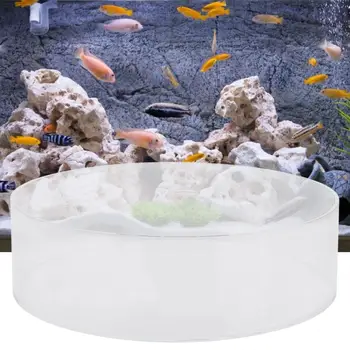 

Underwater Glass Bottom Panel Coral Fish Observe Lense Photo Coral Aquarium Photograph Mirror Fish Cylinder Magnifier