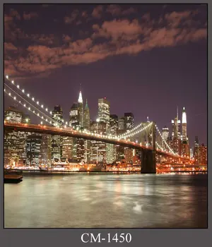 

Golden Gate Bridge photo backgrounds vinyl fashion clothes photography backdrops for photo Studio accessories photophone CM-1450