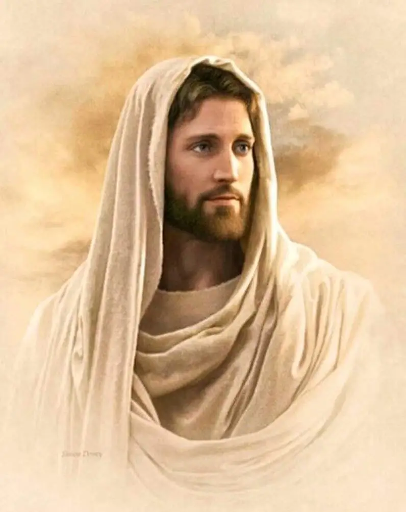 51JTYXt6IPL._SL1002_