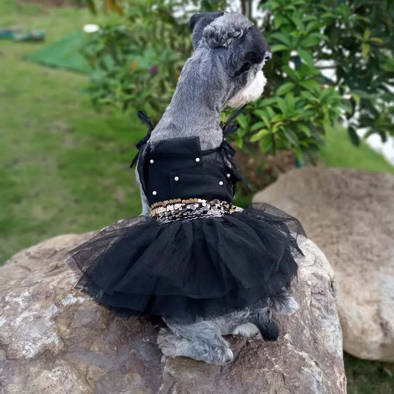 DRESS4 (2)