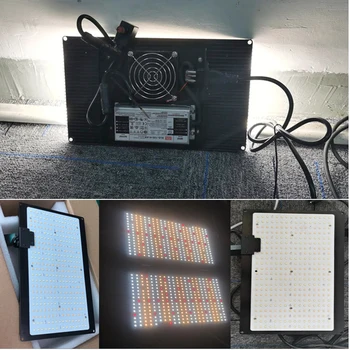

Quantum Tech Samsung LM301B LED grow light Dimmable 3000K/6000K 660nm IR Full spectrum Meanwell driver, Fast cooling with fan