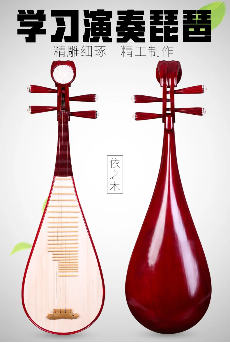 Pipa Chinese String Instruments Lute