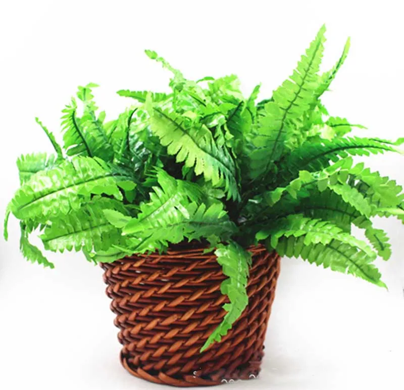 2724977632_1338463617