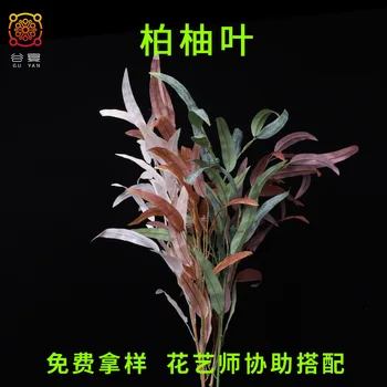 

Valley Feast Cypress Pomelo Leaves Home Wedding Decoration Green Vegetation Photography False Leaf