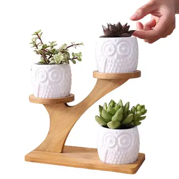 

Succulent Plant Flower Pot Holder Ceramic Owl Pumpkin Pattern Pot Treetop Shaped Bamboo Shelf Pot Planter Set Home Decoration