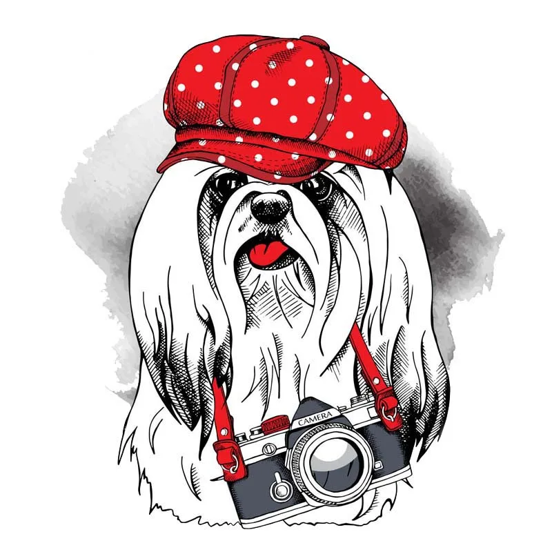 

Cartoon A Puppy with A Camera Car Sticker Vinyl Auto Accessories Car Window Car Styling Decal PVC 13cm*12cm