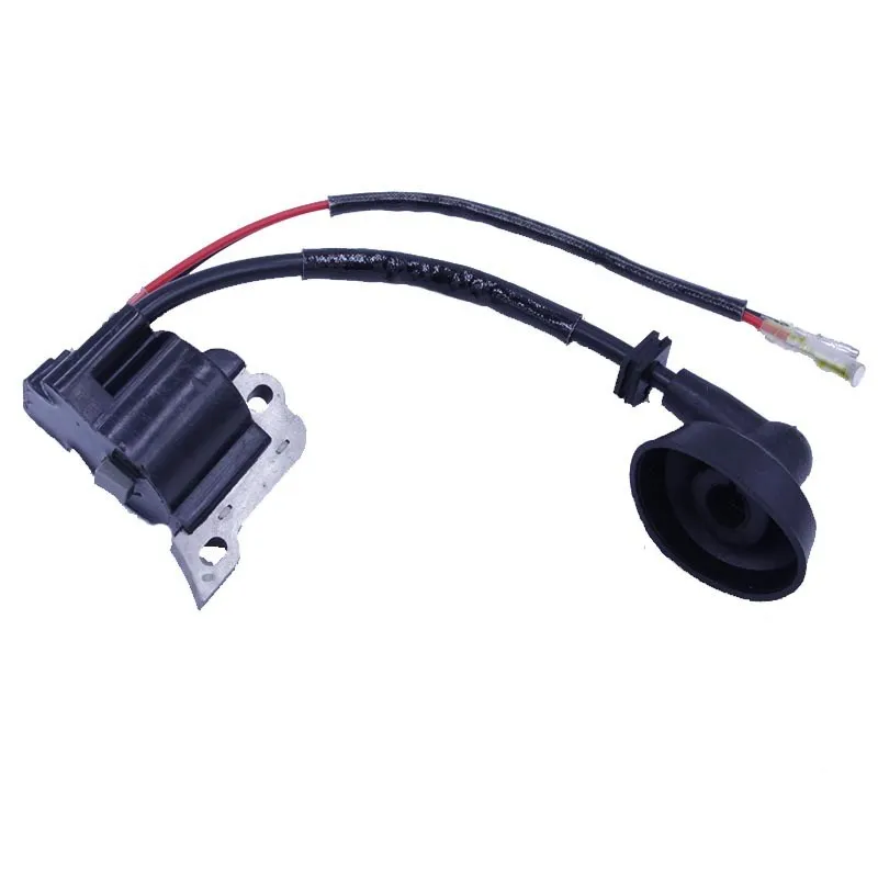 IMG_0433(20200412-153216)