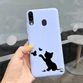 Case-c43