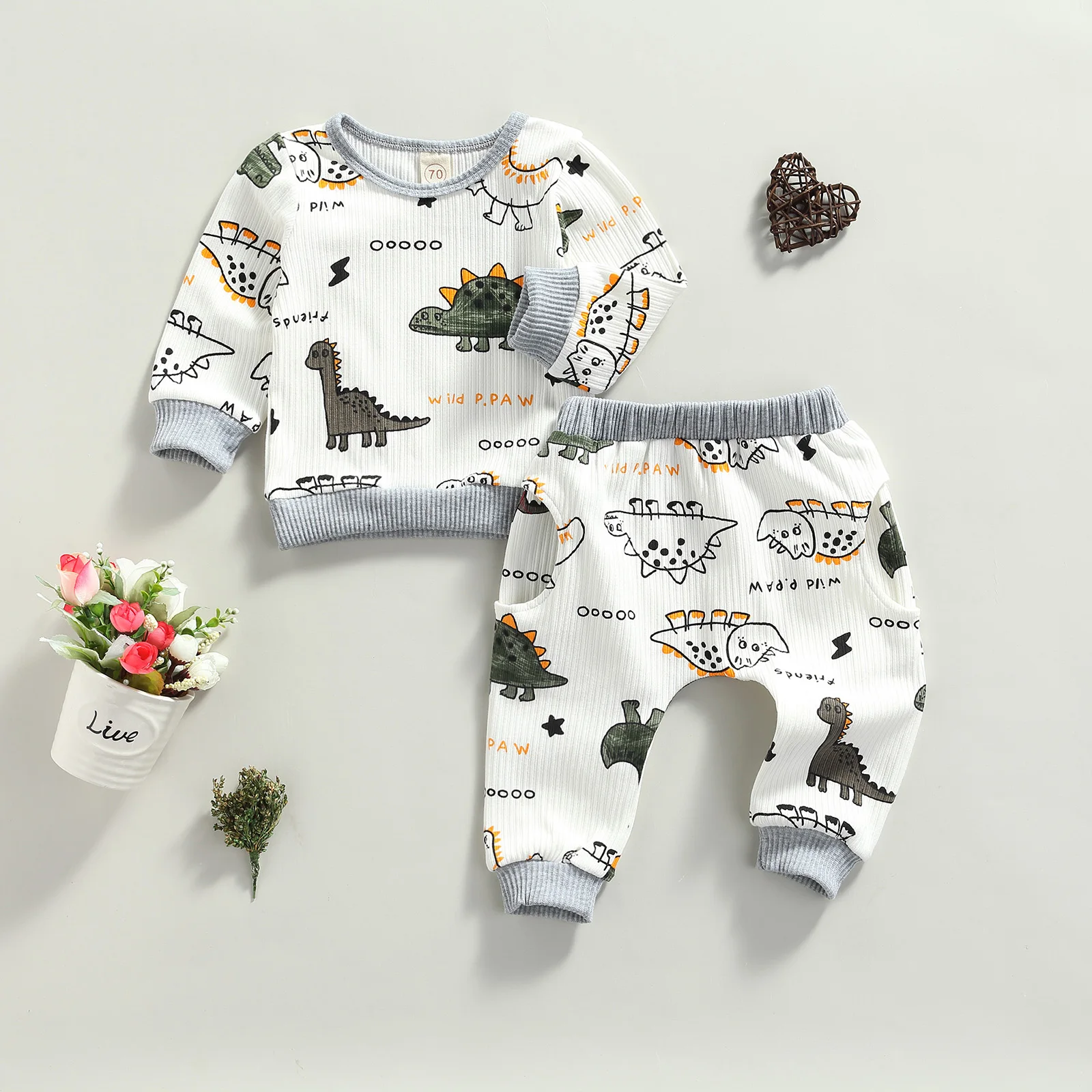 Baby Boy Dinosaur Print Outfit Set 3