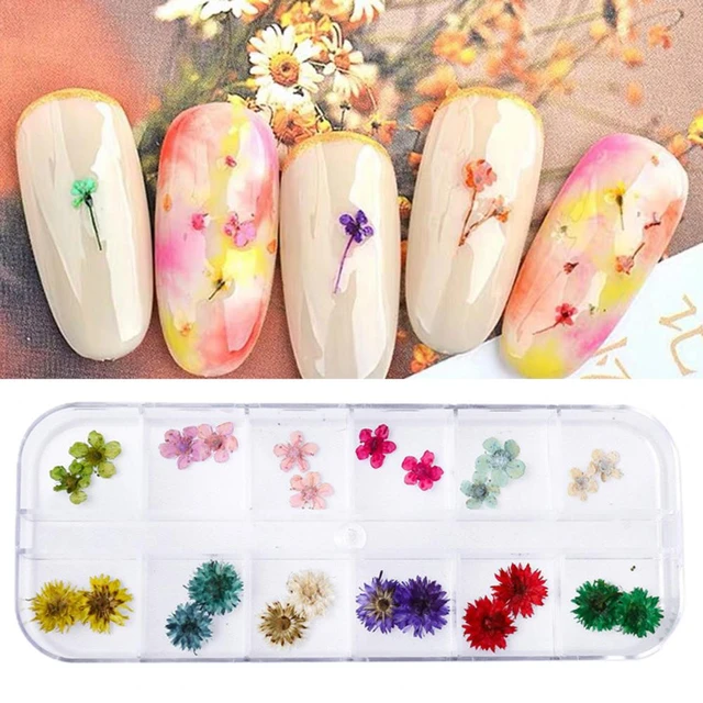 10Pcs/Box 3D Dried Flowers Nail Art Decorations Real Dried Flower Stickers  DIY Manicure Charms Designs For Nails Accessories - AliExpress