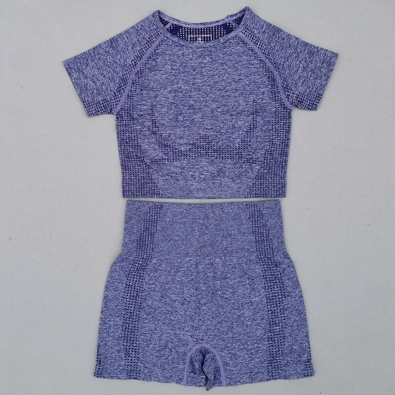 Vital-Seamless-Gym-Set-Workout-Clothes-Women-Short-Sleeve-Crop-Tops-Fitness-Shorts-Sports-Wear-Gym (1)