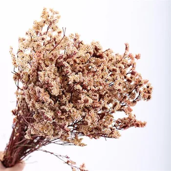 

Crystal grass Flowers 100% Natural True Dried Flowers Wedding Party Decoration Home Garden Decor Biodegradable Pollution-free