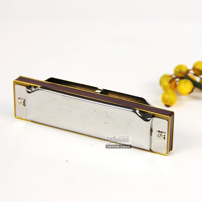Suzuki Key of C Harmonica 1072-C Folkmaster Standard 10-Hole Diatonic Harmonica 20 Tone for Beginner