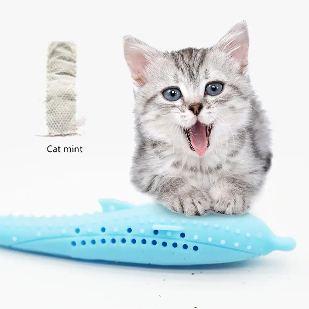 Kedi Oyuncak Catnip Ile Cevre Dostu Silikon Cigneme Oyuncak Kediler Dis Temizleme Agiz Dis Fircasi Oyuncak Pet Oyuncak Balik Sekli Molar Sopa Cat Toys Aliexpress