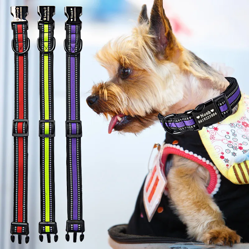 engraved pet collars